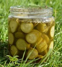 Pickled Gherkins